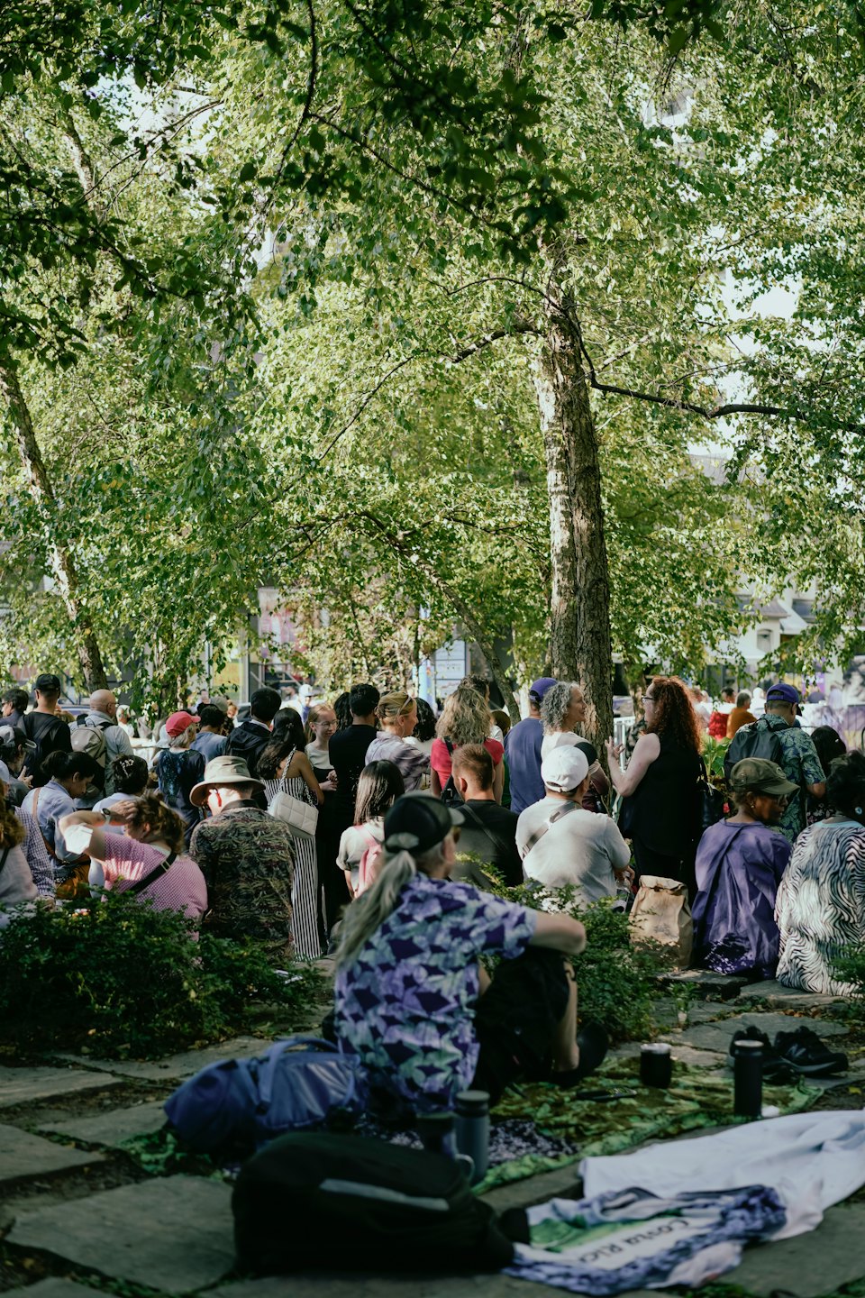 Menschen sitzen unter Bäumen auf einer Wiese im Park.